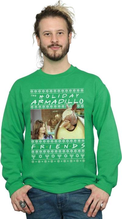 Image du produit Friends - Sweat FAIR ISLE HOLIDAY ARMADILLO - Homme (M)