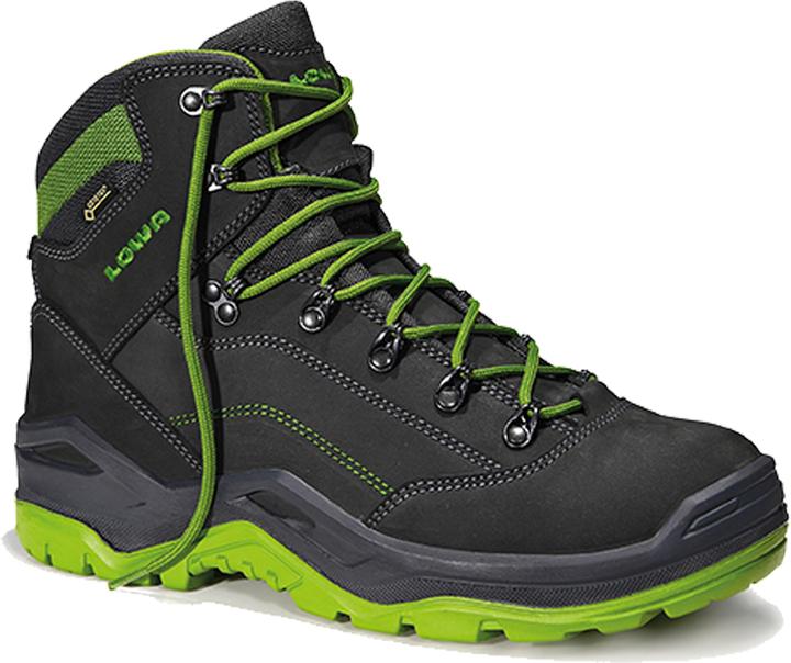 Lowa Renegade Work GTX