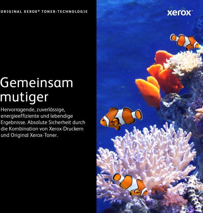 Actual product image Xerox 108R01482 (M)