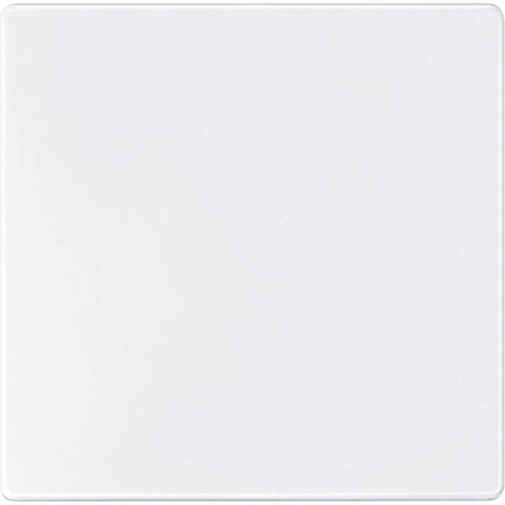 Produktbild Merten Sensorfläche, polarweiss, AQUADESIGN 573819