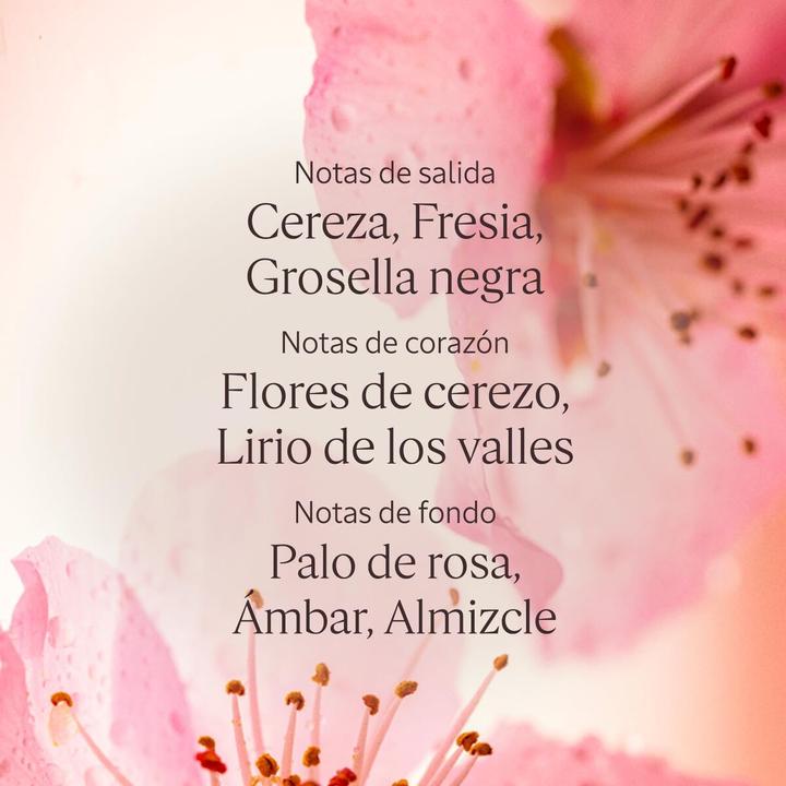 Actual product image L'Occitane Cherry Blossom (250 ml)