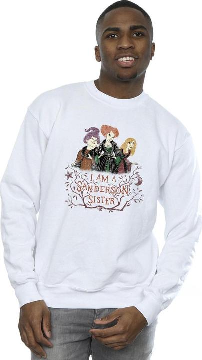 Actual product image Disney Mens Hocus Pocus Sanderson Sister Sweatshirt (XXL)