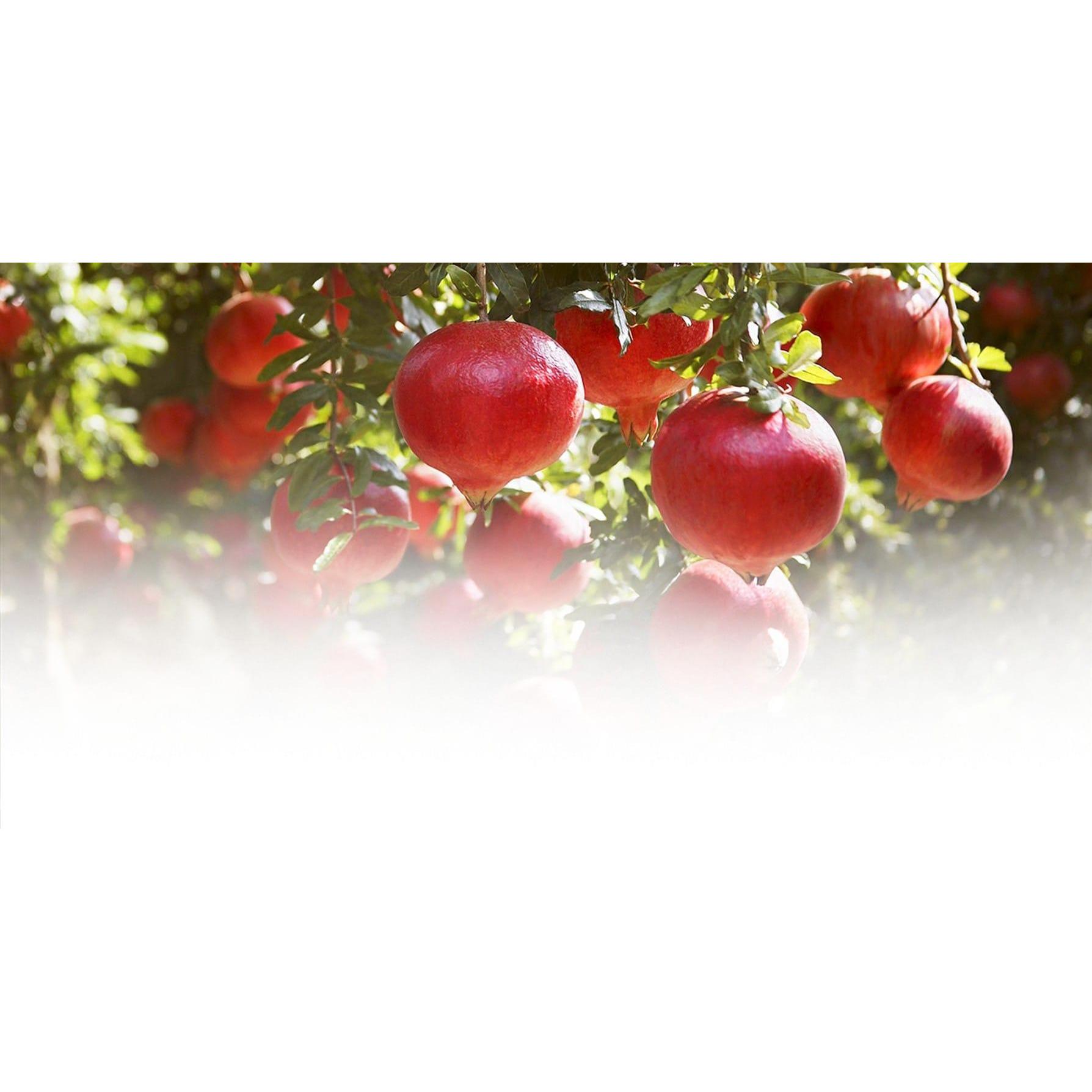 Thumbnail - Weleda, Duschmittel, Granatapfel Schönheitsdusche (200 ml)