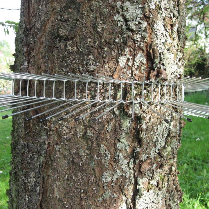 Actual product image Siena Garden Cat defence belt