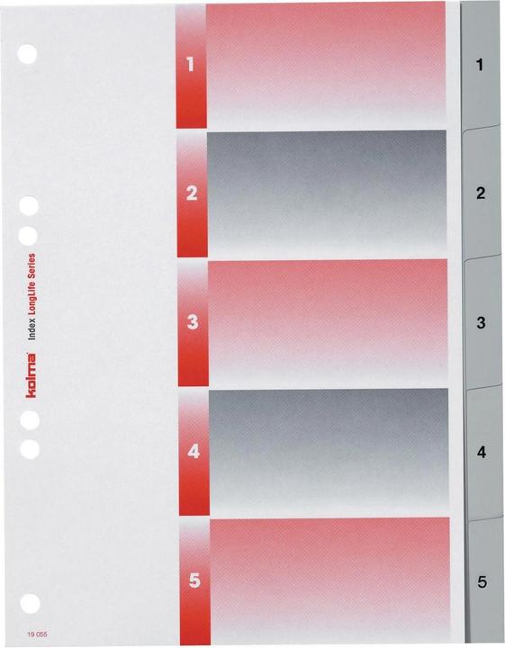 Image du produit Kolma Enregistrer LongLife en taille réelle en gris, avec feuille d'index