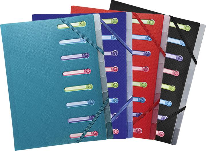 Actual product image Exacompta Stapled file folders (A4, 1 x)
