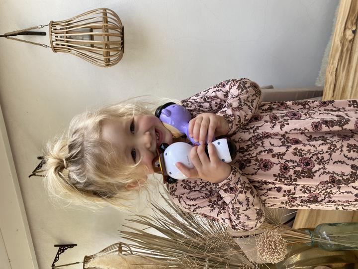 Actual product image Fisher-Price Maracas