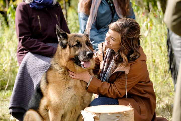 Actual product image Hudson and Rex - The complete 5th season (DVD, 2022, German)