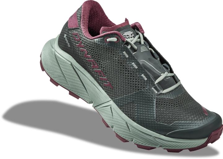 Produktbild Dynafit Ultra 100 Gtx W (38)