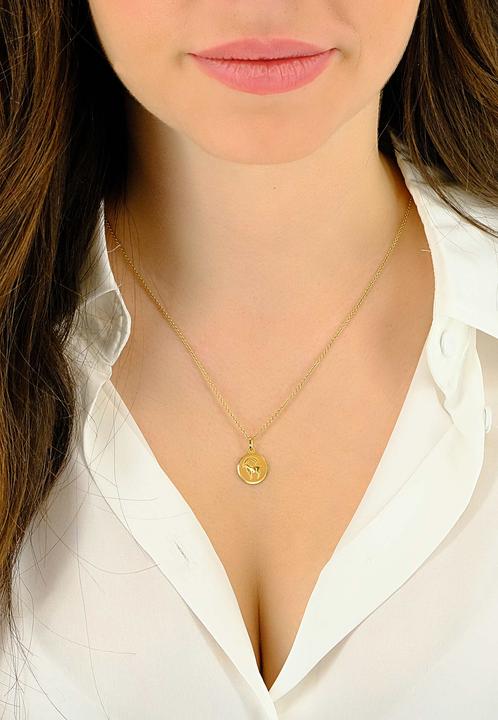 Image du produit Muau Capricorne (Or jaune)