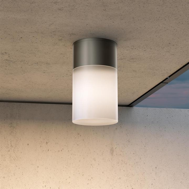 Produktbild Maytoni Willis Deckenleuchte, Deckenlampe E27 Schwarz IP54 (E27)