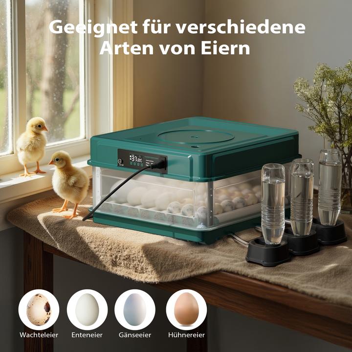 Actual product image Fudajo Eggs incubator