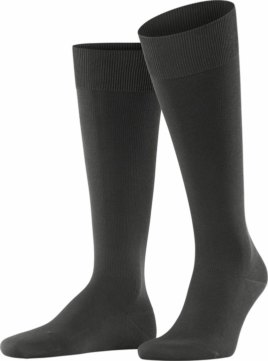 Actual product image Falke Ultra Energizing KH (45 - 46)