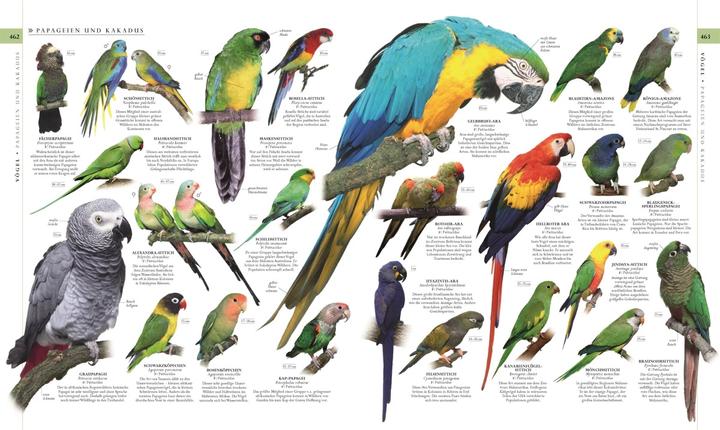 Actual product image Die Natur in über 5000 Fotos (German, David Bernie, 2021)