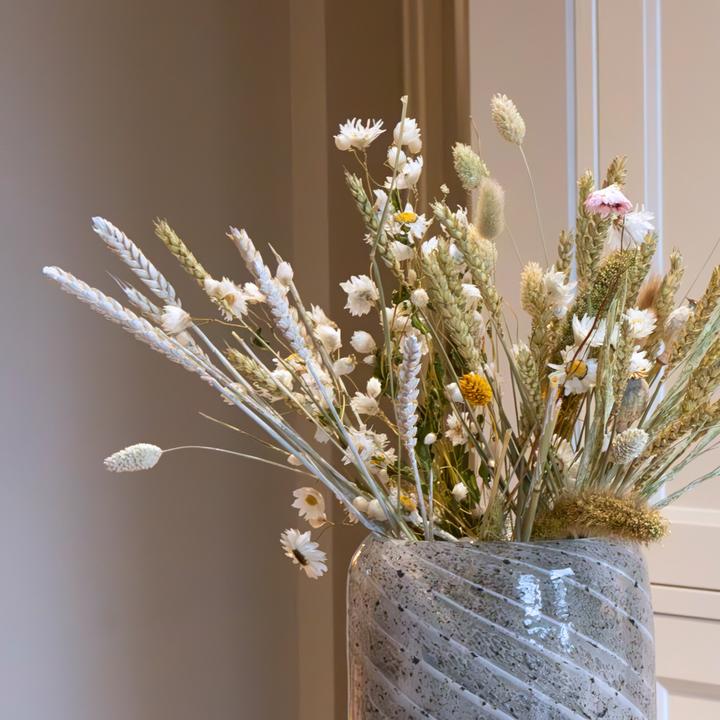Actual product image Plant in a Box Phalaris, Papaver, tarwe (Triticum), Setarea, Acroclinium, Lagurus Ovatus - (35 cm)