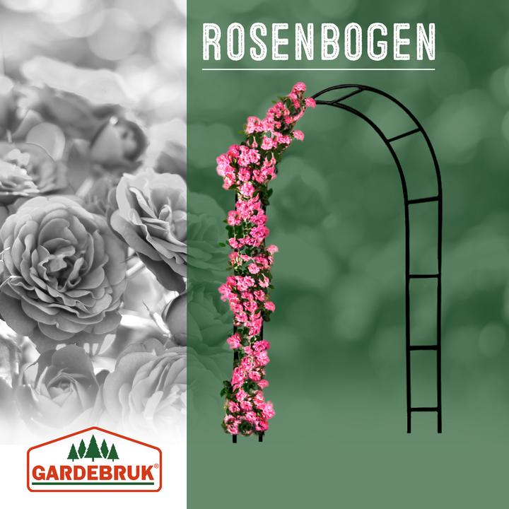 Immagine prodotto Deuba Arco per rose (240 cm, 140 cm)