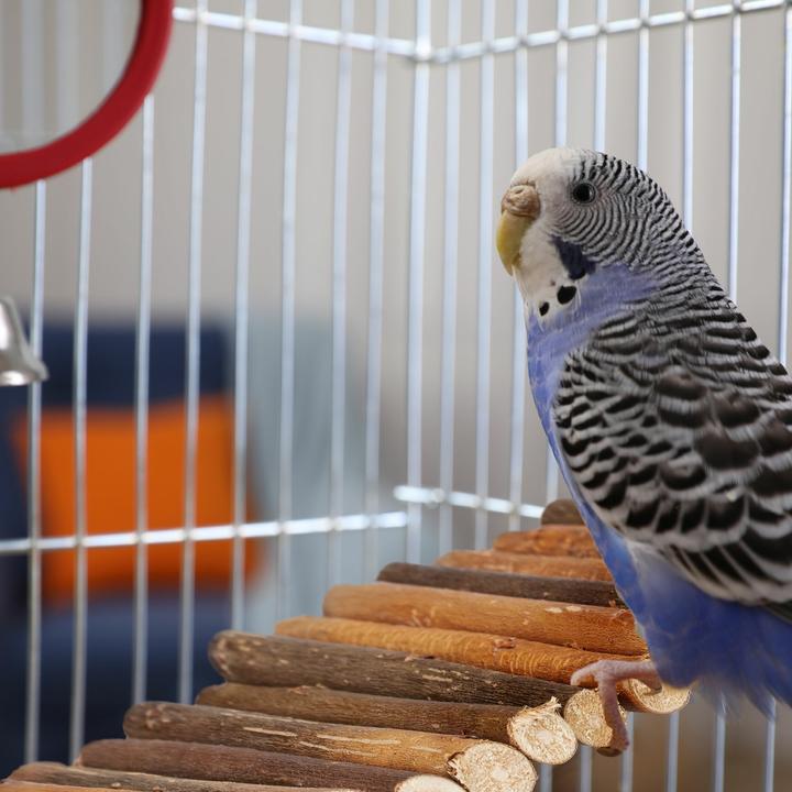 Actual product image Relaxdays Rubbish Press For Wheelie Bin