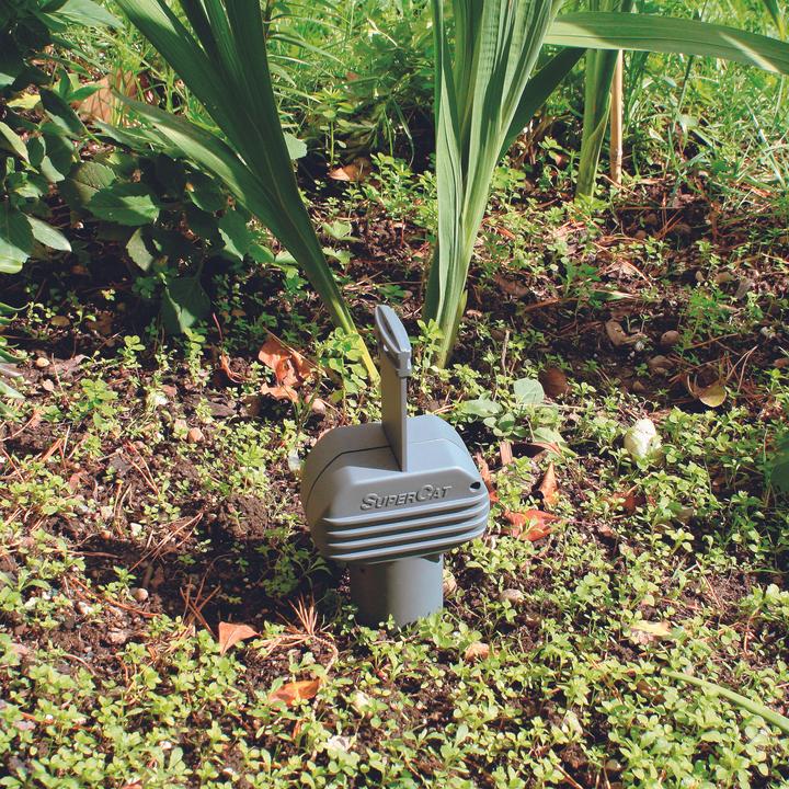 Actual product image Swissinno Vole Trap SuperCat