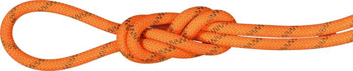 Actual product image Mammut 8.0 Alpine Dry Rope 60m (60 m)