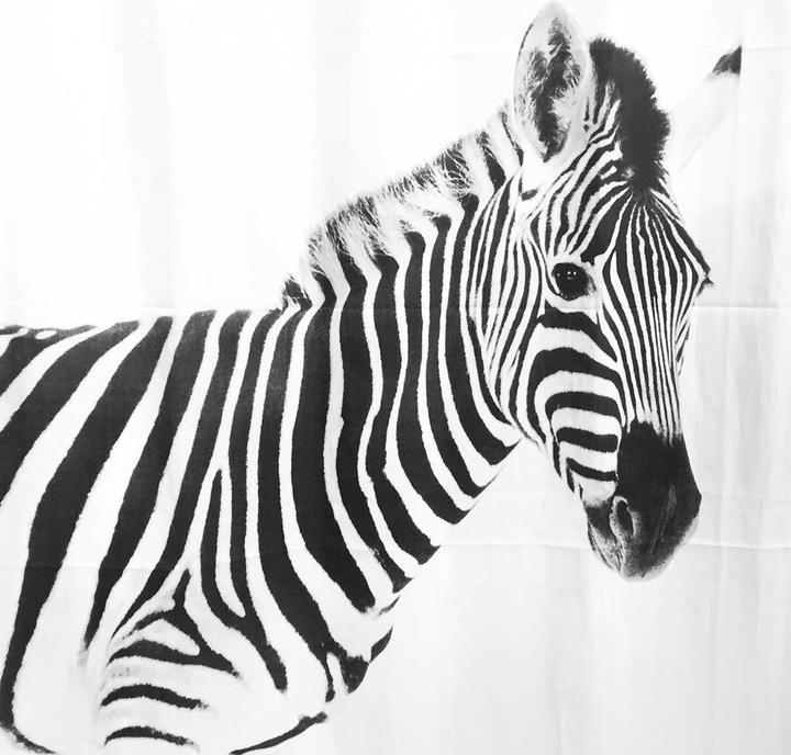 Produktbild spirella Zebra (180 x 200 cm)