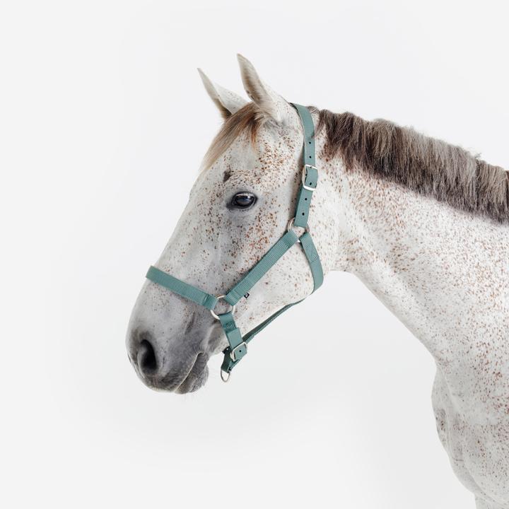 Produktbild Fouganza Halfter Schooling Pferd Pony Polypropylen