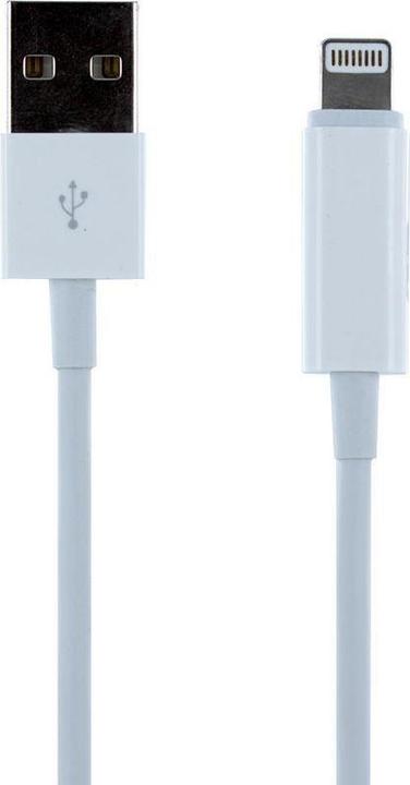 cyoo Charging Cable Lightning Headphone Adapter 2in1 (1 m, USB 3.2 Gen 1)