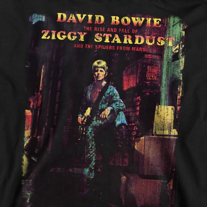 Immagine prodotto David Bowie Ziggy Stardust Album Felpa Adulto Unisex (L)
