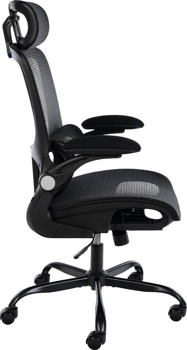 Immagine prodotto CLP Kaylee (48 - 55 cm)