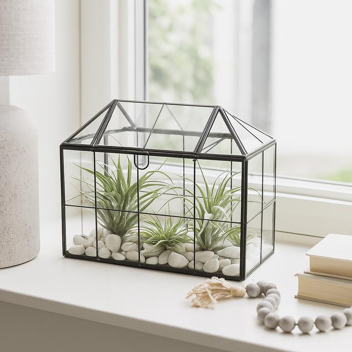 Produktbild Relaxdays Pflanzenterrarium