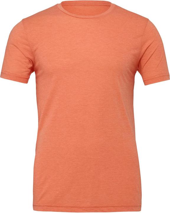 Produktbild Canvas Unisex Jersey Short Sleeve Tee (L)
