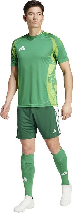 Image du produit adidas TIRO24 SHORT (S)
