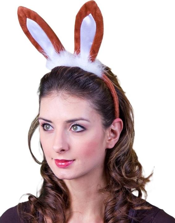 Produktbild Festartikel Müller Kopfbügel Mit Hasenohren