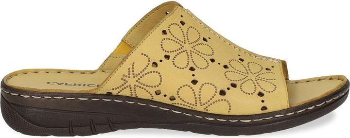 Image du produit Caprice Mule (36)