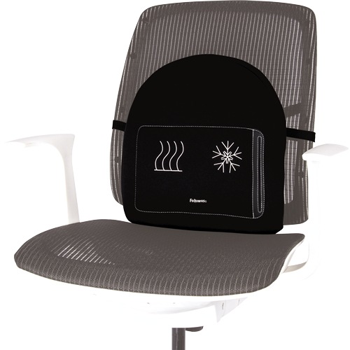 Actual product image Fellowes Back support Professonal Series