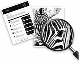 Actual product image
