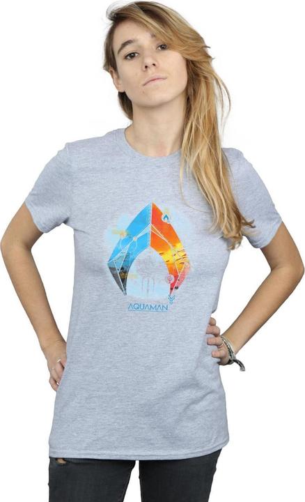 Actual product image Womens/Ladies Aquaman Tropical Logo Cotton Boyfriend T-Shirt (L)