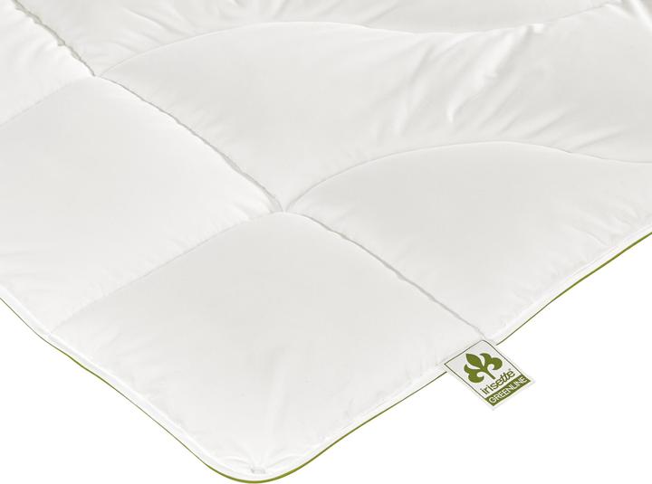 Produktbild Irisette Greenline Greenline Cyclafill ECO 4-Jahreszeiten (1650 g, 200 x 200 cm)