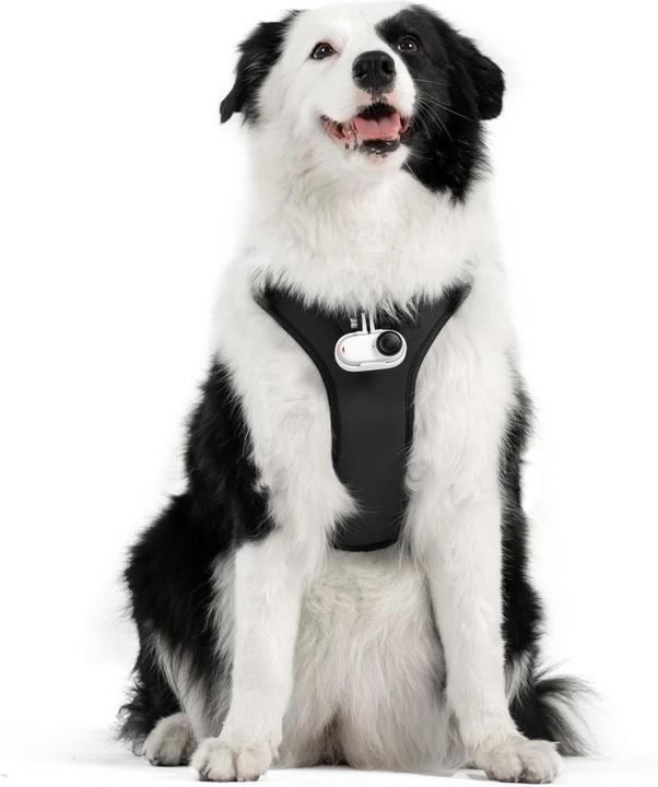 Image du produit Insta360 Pet Harness Mount, size L