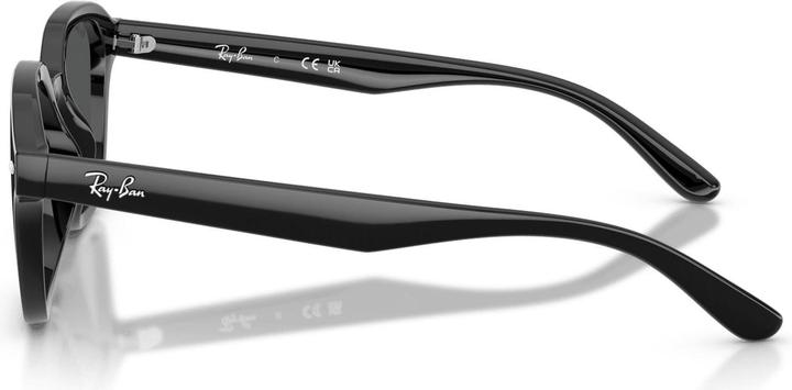 Actual product image Ray Ban RB4458D