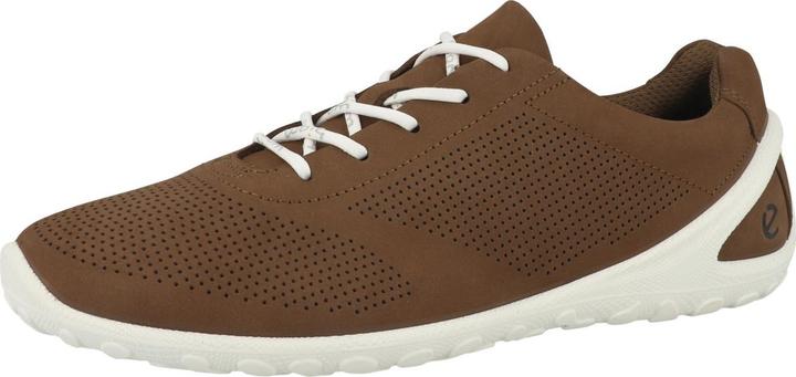 Marrone, Marrone cacao