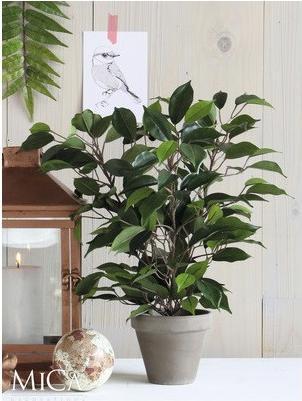 Produktbild Mica Kunstpflanze Birkenfeige Ficus natasja Ø 30 H 40 cm grün (40 cm)