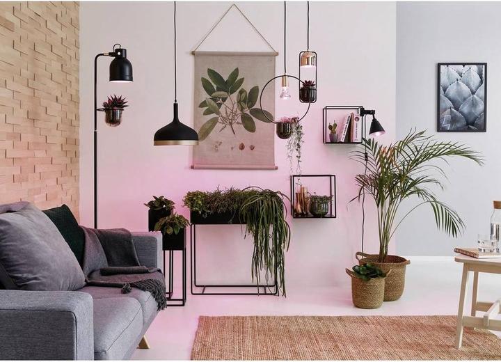 Image du produit Paulmann Lumière des plantes (GU10, 3.50 W, 95 lm, 1 x)