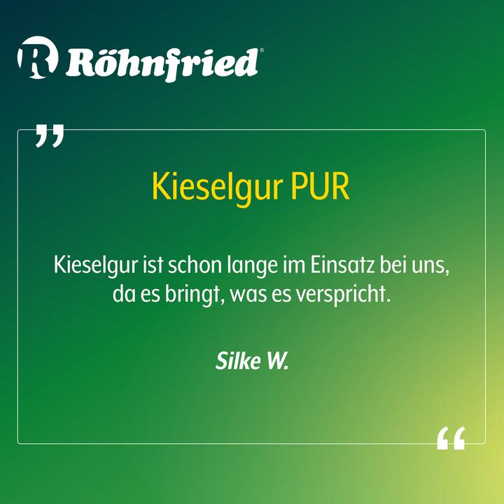Actual product image Röhnfried Diatomaceous earth pure (0.60 kg, Sand)