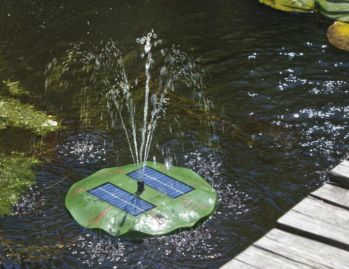 Actual product image Esotec Water Lily