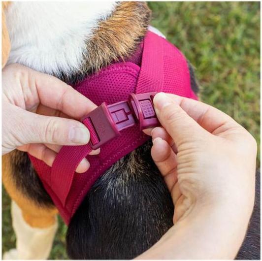 Actual product image Curli Harness Vest Air-Mesh L, Ruby (L, Dog, General)
