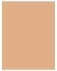 Immagine prodotto Clarins Cipria compatta Ever Matte 04 (04 Medio)