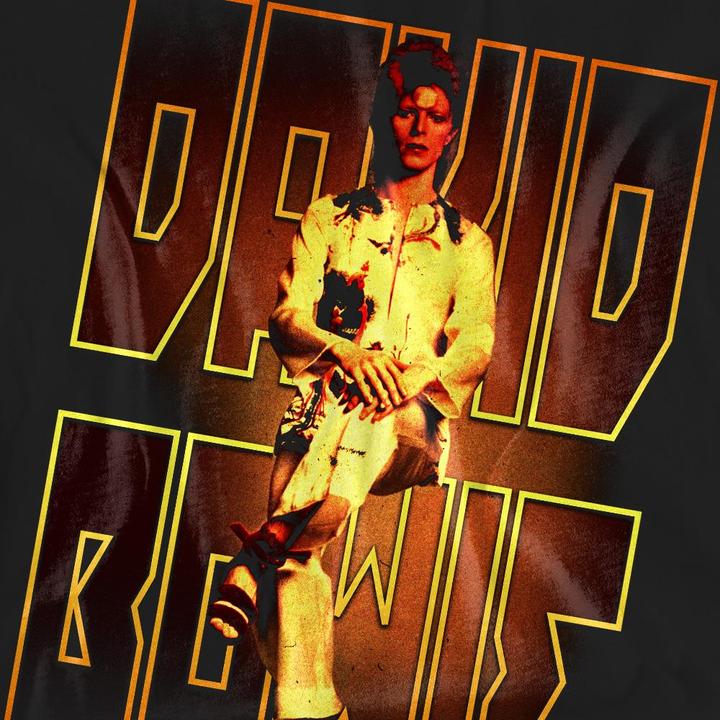 Produktbild David Bowie Perched TShirt (S)