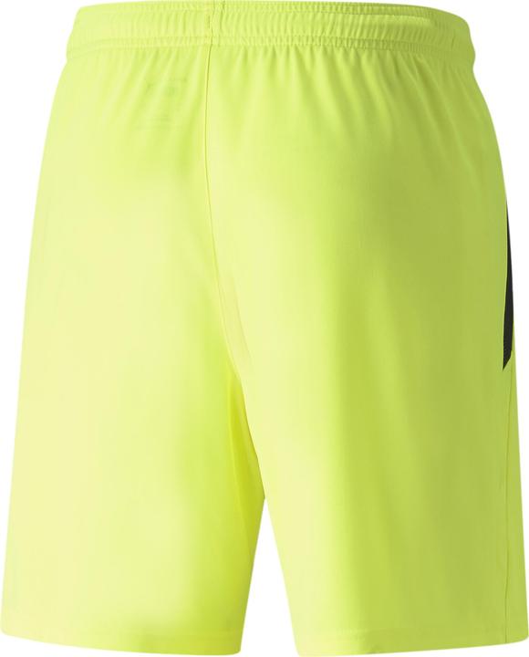 Produktbild Puma teamLIGA Shorts (L)