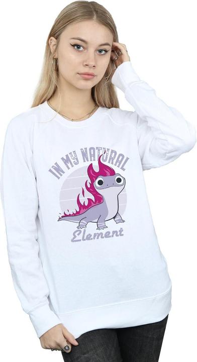 Produktbild Disney Frozen 2 Salamander Bruni Element Sweatshirt (XXL)