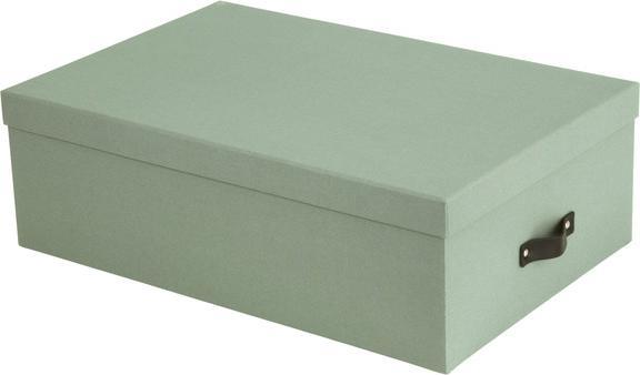 Actual product image Artoz Nordiska storage box large green